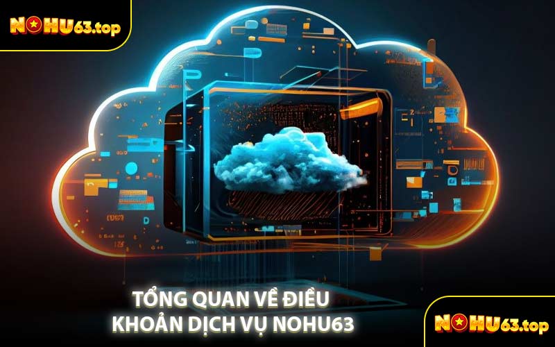Tổng Quan Về Điều Khoản Dịch Vụ NOHU63