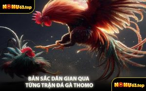 Bản Sắc Dân Gian Qua Từng Trận Đá Gà Thomo