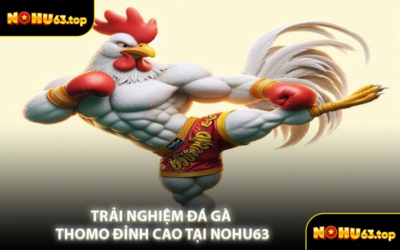 Trải Nghiệm Đá Gà Thomo Đỉnh Cao Tại NOHU63